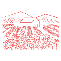 Farm